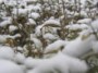 بارش شدید برف طی دیشب و صبح دوشنبه در ارتفاعات استان بین 30 تا 40 سانتیمتر اعلام شد.بیشترین میزان بارش برف در مناطق ...