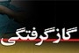 در این حادثه پدر، مادر و فرزند خانواده بر اثر استنشاق گاز منواکسید کربن جان خود را از دست دادند.