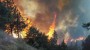 شمال نیوز : مدیرکل منابع‌طبیعی و آبخیزداری استان گلستان گفت: آتش سوزی بخشی از مناطق جنگلی مراوه تپه و کلاله همچنان ادامه دارد.

