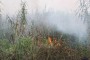 شمال نیوز : رئیس اداره حفاظت از محیط زیست انزلی با اشاره به آتش سوزی در چهار نقطه از تالاب انزلی ، گفت: سه نفر از عاملان این آتش سوزی شناسایی و برای سیرمراحل قانونی به مراجع قضایی معرفی شدند.