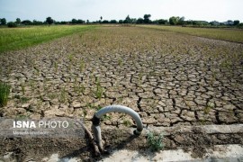 مازندران تا سال ۲۰۵۰ خشک‌تر می‌شود