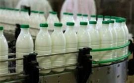 قیمت مصوب انواع محصولات لبنی اعلام شد / شیر نایلونی ۱۵ هزار تومان!