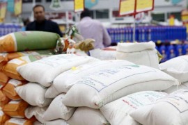 رئیس انجمن برنج : واردات در شکست قیمت برنج نقشی ندارد