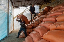 فقط ۳۰ درصد برنج مازندران به فروش رفته است !