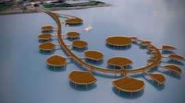 موافقت با ساخت ۱۶ سازه دریایی در سواحل مازندران