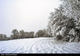 تصاویری از گیلان زیر برف