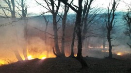 خطر آتش سوزی در جنگل‌های شمال