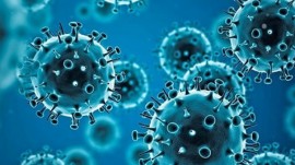 آموزش ویروس‌ها به سیستم ایمنی بدن