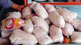 توزیع ۲۵۰ تن مرغ منجمد در شهرستان‌ها