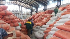 برنج های دپو شده شمال در حال فروش