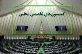 ترکیب جدید کمیسیون‌های مجلس مشخص شد/ بازگشت عزت الله اکبری به ریاست کمیسیون صنایع و معادن / کمال علیپور نایب رئیس اول کمیسیون عمران شد 