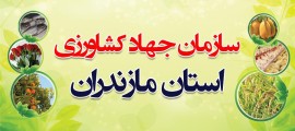 پیگیری شخص رئیس سازمان برای تامین مرغ مازندران و پایتخت مانع از سفر به روسیه شد / هرگونه قصور در تامين مرغ پايتخت مي تواند بازار كشور را مختل كند / جوجه ریزی در تیرماه 20 درصد افزایش داشت / از انتقادات سازنده استقبال می کنیم 