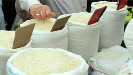 خرید حمایتی برنج مازاد شالیکاران به کجا رسید؟