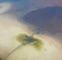 اذعان رئیس سازمان محیط زیست به وضعیت وخیم دریاچه ارومیه