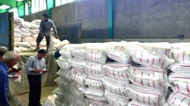 استقبال شالیکاران استان از طرح حمایتی خرید برنج