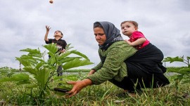 بیمه رایگان بانوان روستایی غیر شاغل با ۳ فرزند