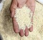 بر اساس این مصوبه، قیمت خرید تضمینی هر کیلوگرم برنج فجر- خزر و ارقام مشابه 1250تومان، برنج سپیدرود 1100 تومان، برنج ندا و نعمت 920 تومان و برنج آمل 750 تومان تعیین و به دستگاه‌های اجرایی ابلاغ شده است...