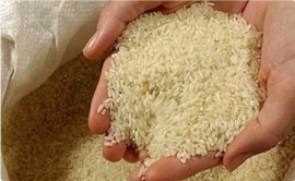جریمه تاوان تخلیط برنج
