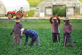 اشتغال ۳ هزار و ۵۰۰ مازندرانی با تسهیلات ستاد اجرایی فرمان حضرت امام (ره)