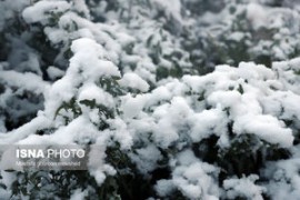 ایران سردتر می‌شود