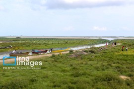 مدیرکل محیط زیست گیلان: تالاب انزلی هنوز زنده است 