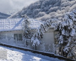 بارش برف در سوادکوه  