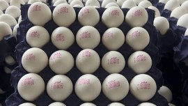 صادرات تخم مرغ آزاد شد