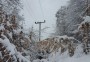 بخشدار یانه سر بهشهر گفت: در پی بارش شدید باران، برف و طوفان یکشنبه شب هفته گذشته با وجود تلاش اکیپ های عملیاتی و امدادی، برق 10 روستای کوهستانی این شهرستان همچنان قطع است.
