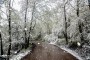  بارش برف در نخستین روزهای اردیبهشت‌ ماه ارتفاعات مازندران را سفیدپوش کرد.