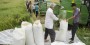 شمال نیوز : بر اساس نامه گمرک، ممنوعیت فصلی واردات برنج که هر سال در فصل برداشت محصول داخلی صورت می‌گرفت، در سال جاری لغو شد..... 