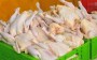 شمال نیوز: رئیس انجمن پرورش دهندگان مرغ گوشتی اظهار داشت: اکنون هر کیلو مرغ حدود 17 تا 20 هزار تومان به مصرف‌کننده عرضه می‌شود و مرغ زنده نیز حدود 12 هزار تومان است.