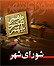 مراسم خداحافظي اعضاي شوراي شهر كه قرار بود با خاطره‌اي خوش به اتمام برسد به دليل درگيري لفظي بين اعضا و يكي از خبرنگاران با جنجال به پايان رسيد.اين خبرنگار اعضاي شوراي شهر را امانتدار درست اموال بيت‌المال ندانست 