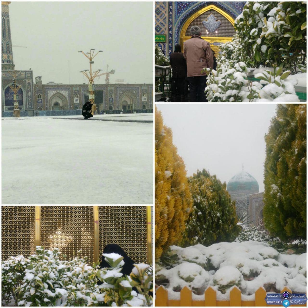                                                    بارش برف پاییزی در حرم مطهر امام رضا(ع)                                       