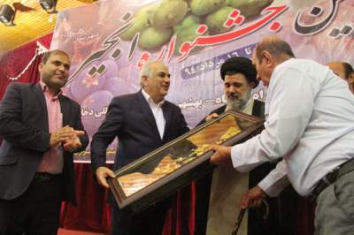 افتتاح دومین جشنواره انجیر گلوگاه با حضور استاندار مازندران
