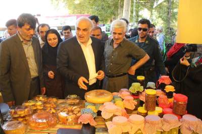 افتتاح دومین جشنواره انجیر گلوگاه با حضور استاندار مازندران(2)