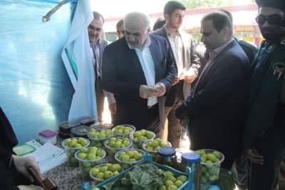 افتتاح دومین جشنواره انجیر گلوگاه با حضور استاندار مازندران(2)