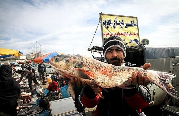 تصاویر : بازارهای محلی مازندران در آستانه نوروز