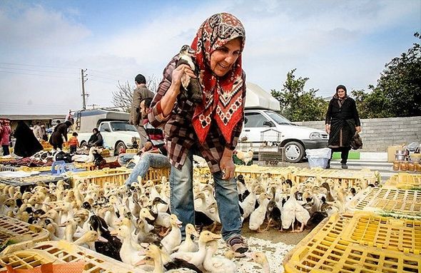 تصاویر : بازارهای محلی مازندران در آستانه نوروز