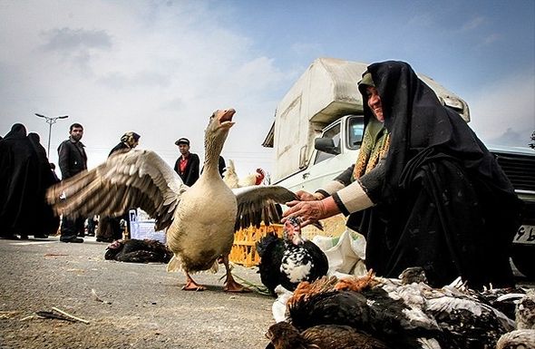 تصاویر : بازارهای محلی مازندران در آستانه نوروز