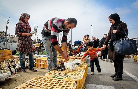 تصاویر : بازارهای محلی مازندران در آستانه نوروز