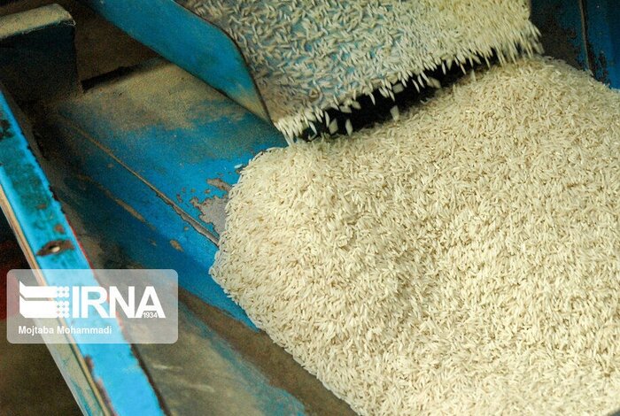 کسادی بازار عمده فروشی برنج مازندران بدون کاهش قیمت