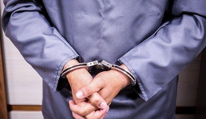                               پلیس نقشی در بازداشت بازیگر معروف نداشته                      