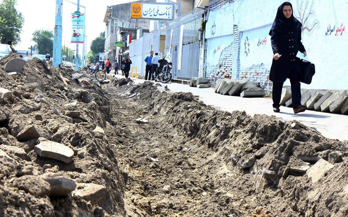 (تصاویر) قطع شبانه درختان در رشت