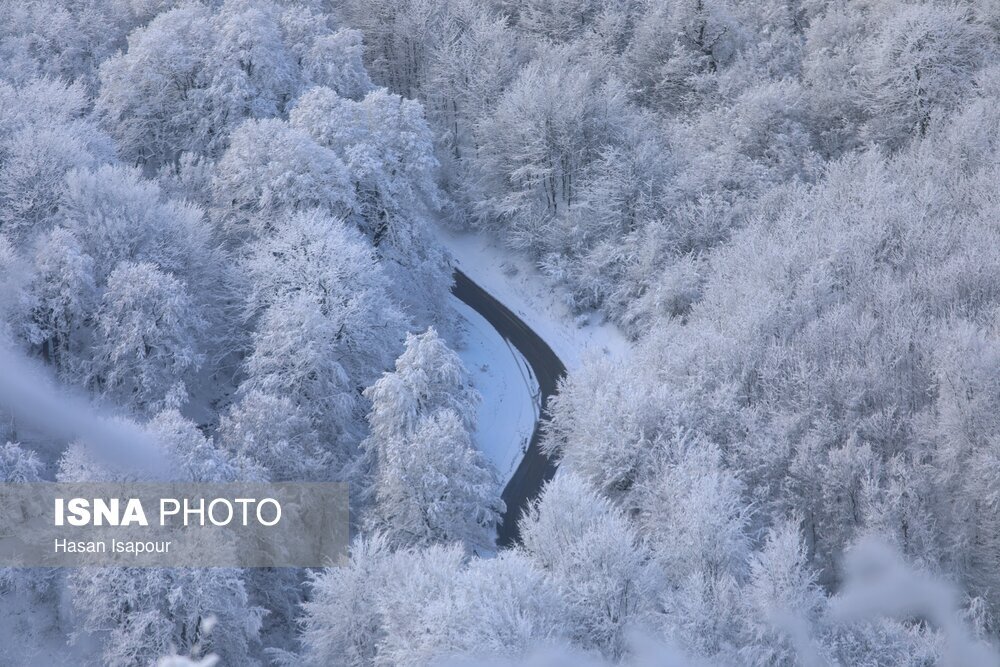 برف در سوادکوه مازندران (عكس)