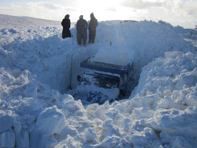 نیسانی که زیر برف دفن شد/عکس