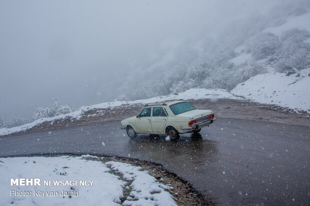برف زمستانی در بهار مازندران