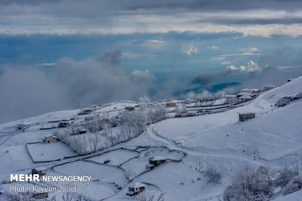 برف زمستانی در بهار مازندران