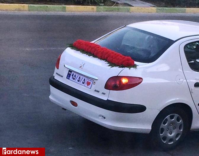  پلاک خاص خودروی عروس و داماد در بوشهر
