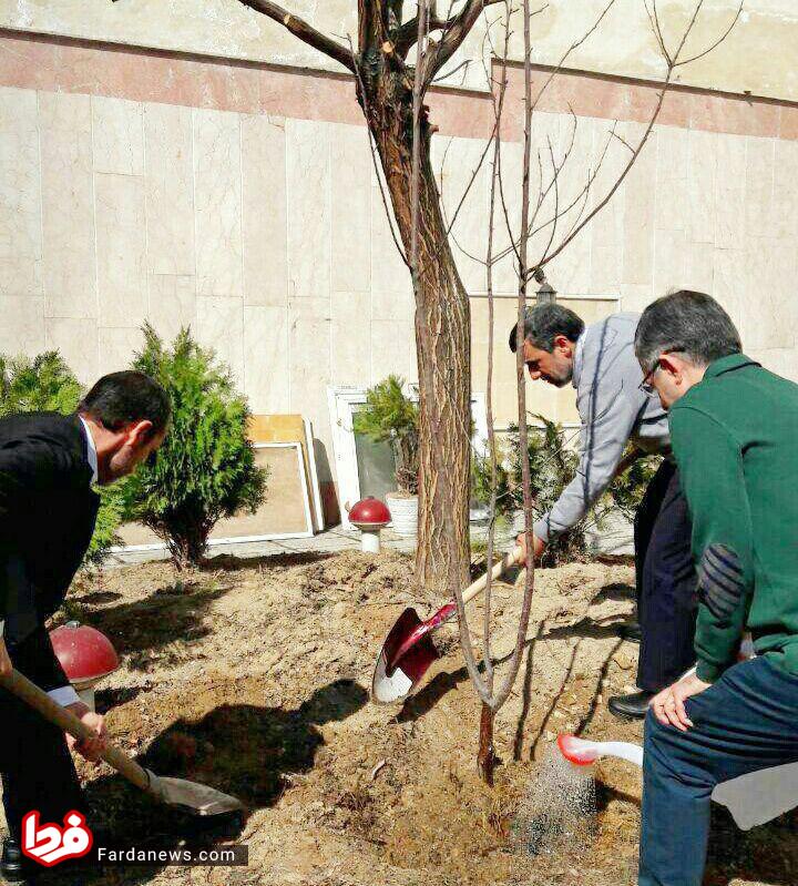 احمدی‌نژاد با بقایی و مشایی درخت کاشت