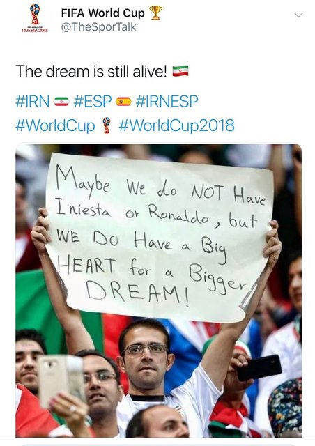 واکنش فیفا به بنر جالب هوادار ایرانی